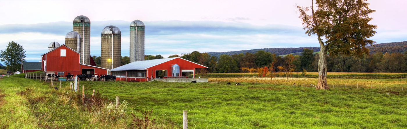 Wheatland, NY Dumpster Rental