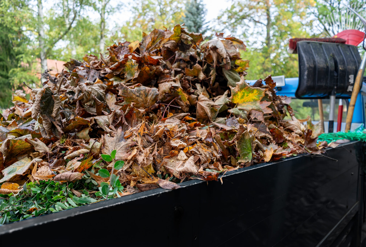 A pile of brown and orange leaves in a trailer.