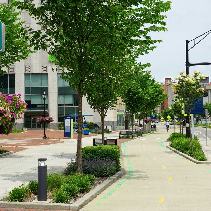 a bike lane with a bike sign and a green background