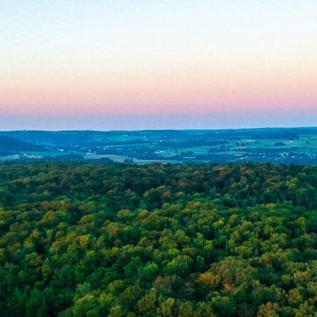 aerial view of forest and fields