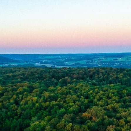 A forest and fields landscape from above