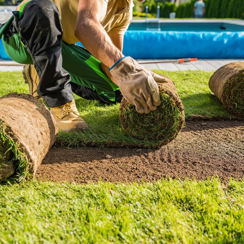 Man in gloves installing rolled green sod