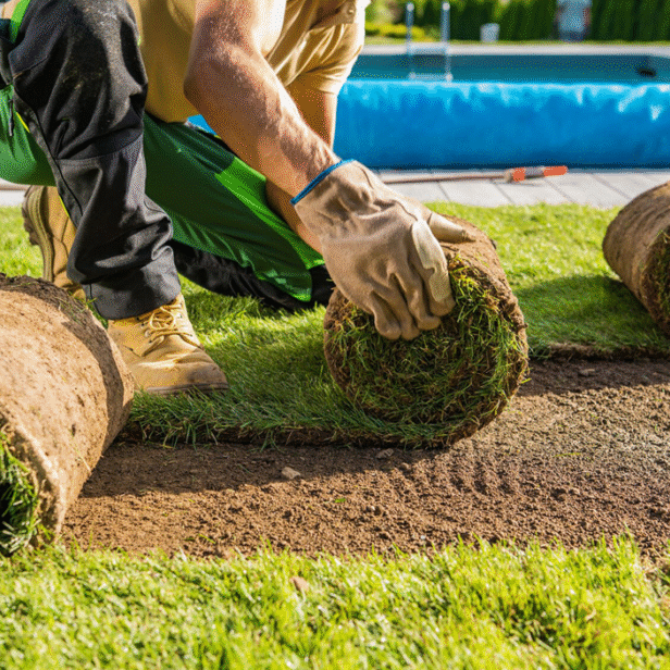 A man stands beside large logs on the ground. He appears to be in a wooded area.