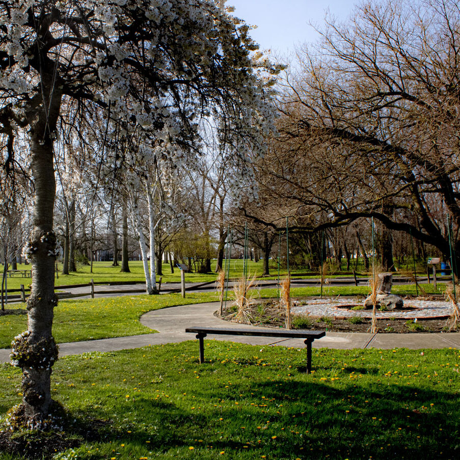a park with green grass and trees